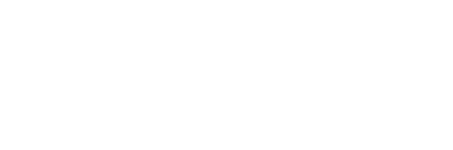 Developer Logo