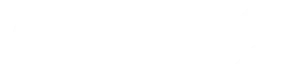 Developer Logo