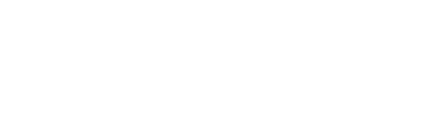 Developer Logo