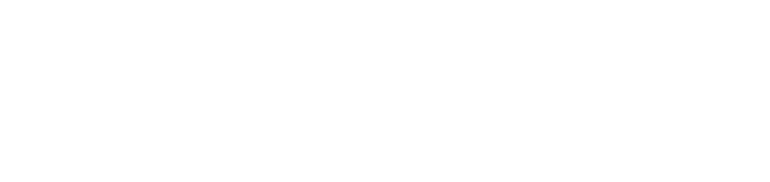 Developer Logo