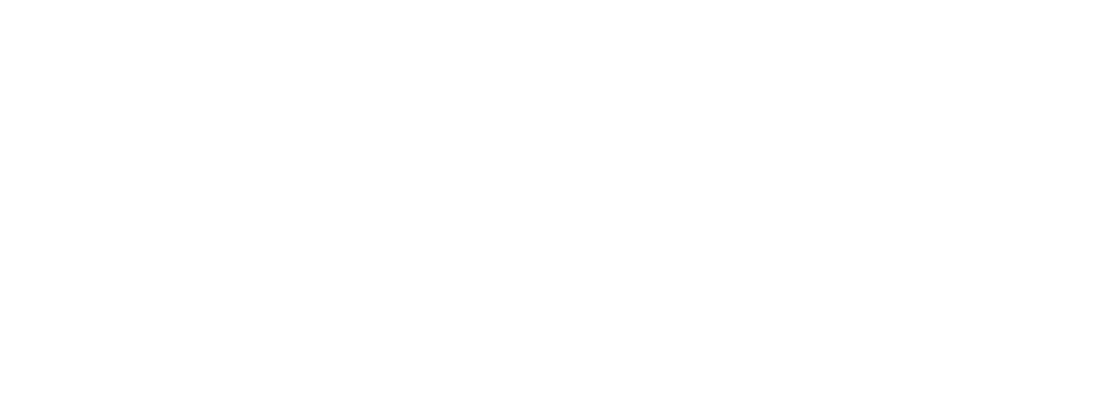 Developer Logo