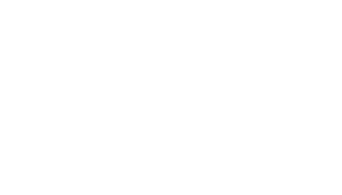 Developer Logo
