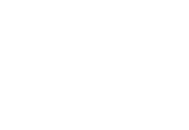 Developer Logo