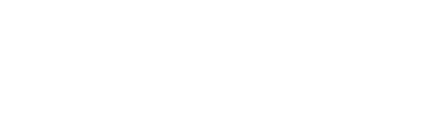 Developer Logo