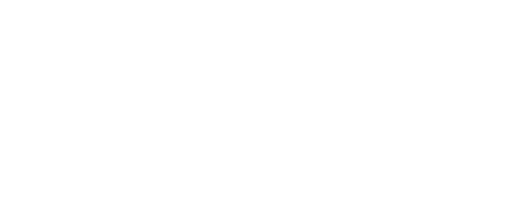 Developer Logo