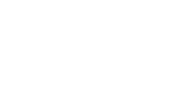 Developer Logo