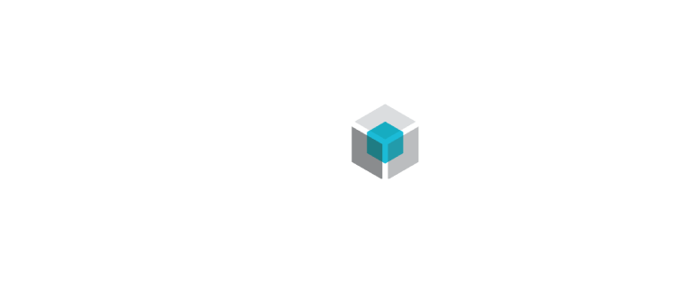 Developer Logo