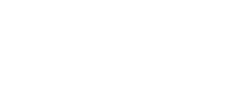 Developer Logo